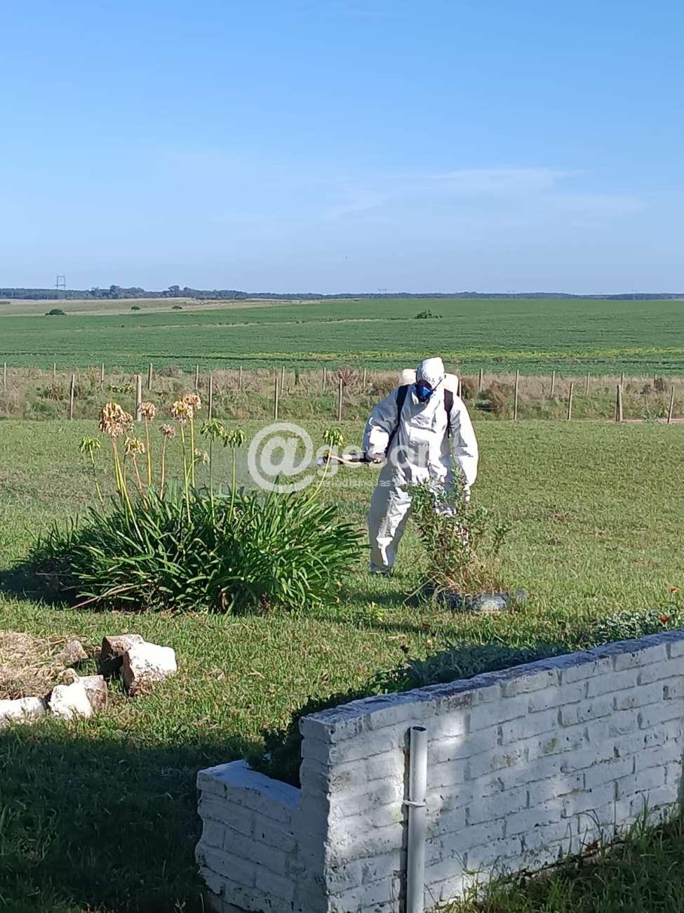 Image3